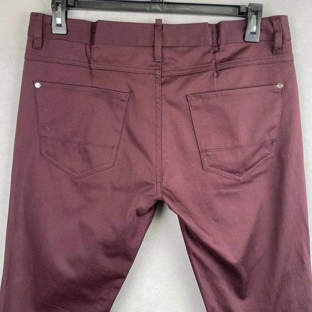 Zara Man Basic Collection Burgundy Slim Five Pocket Pants Mens USA 34 Euro Sleek